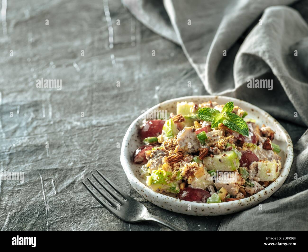 Waldorfsalat mit Kopieplatz. Amerikanischer Obst- und Nusssalat mit Äpfeln, Sellerie, Trauben, Hühnerfleisch, gekleidete Mayonnaise. Bastelteller mit verzehrfertiger waldorfsalat auf grauem Hintergrund Stockfoto