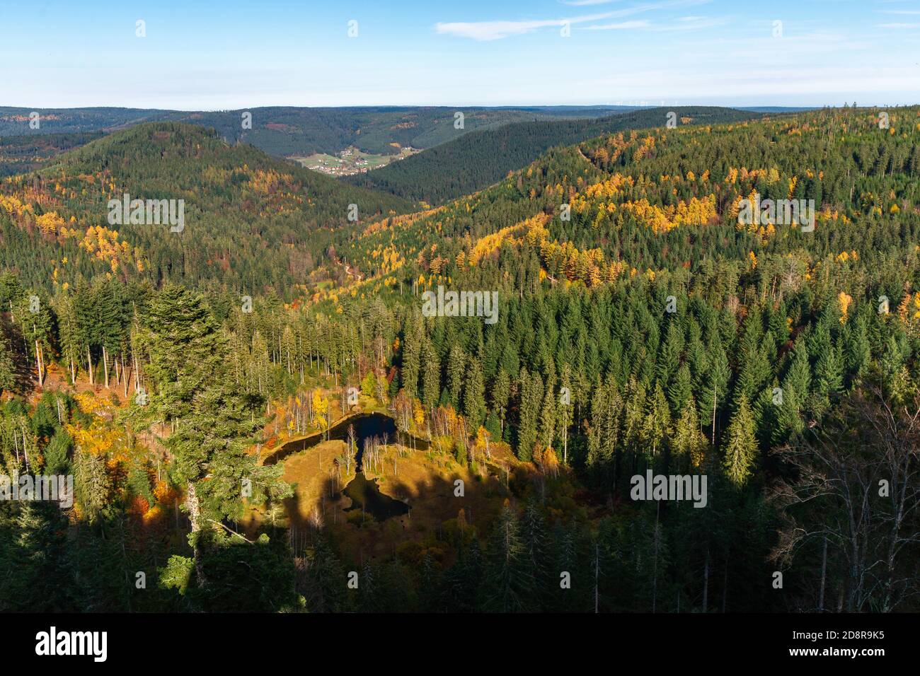Blick über den Ellbachsee, einem tarn im nördlichen Schwarzwald, Deutschland Stockfoto