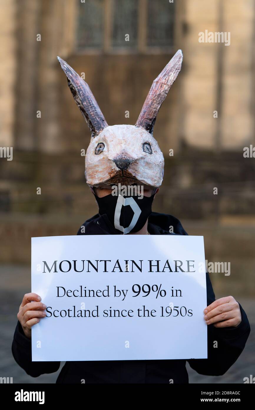 Extinction Rebellion Demonstration zeigt Rückgang der Tierarten in Edinburgh, Schottland, Großbritannien Stockfoto