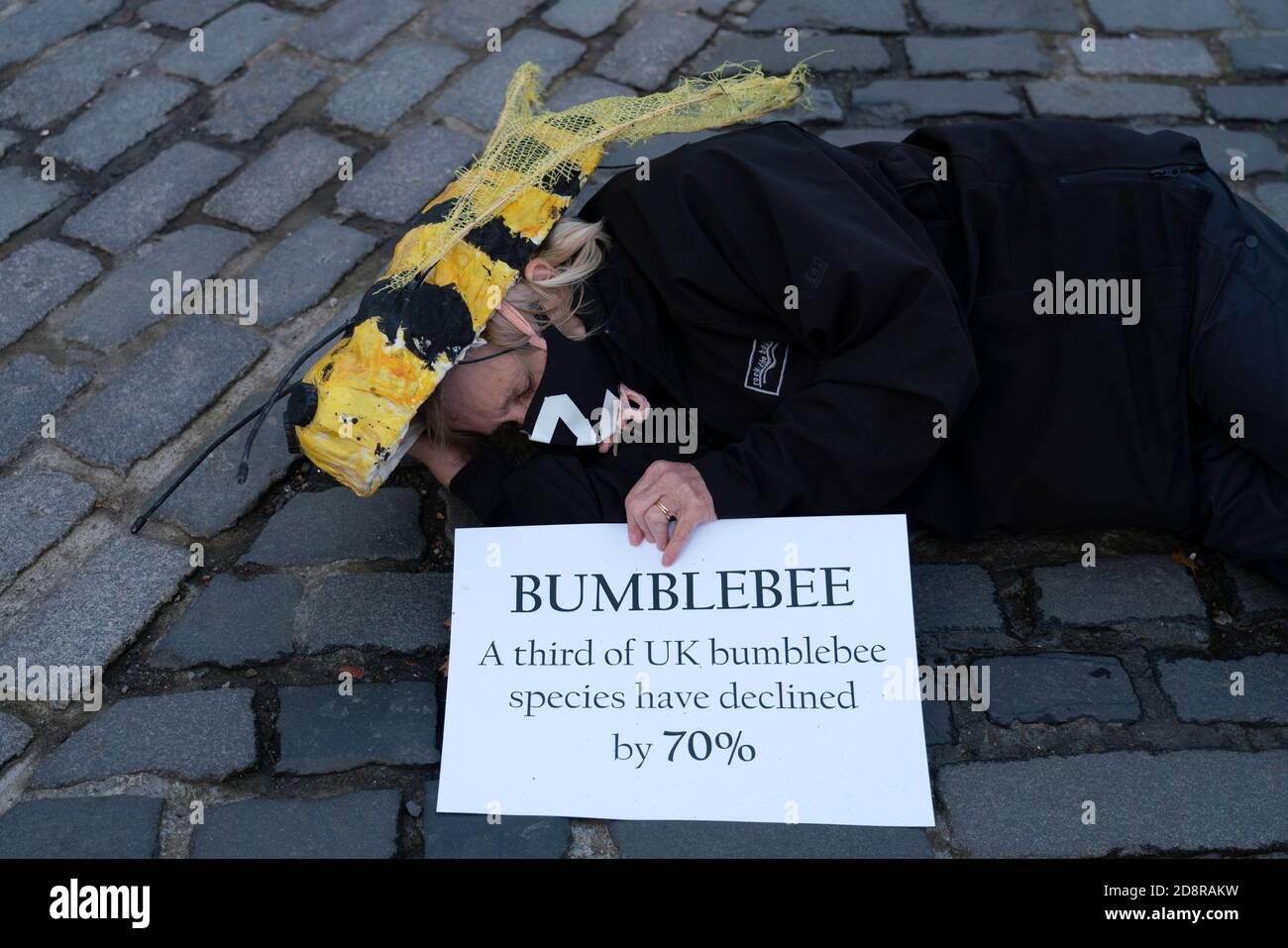 Extinction Rebellion Demonstration zeigt Rückgang der Tierarten in Edinburgh, Schottland, Großbritannien Stockfoto