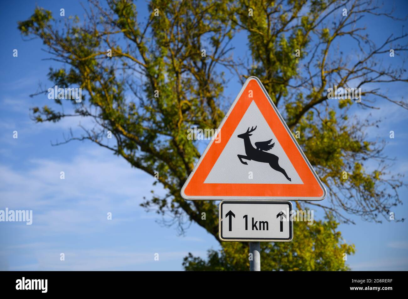Geändertes Straßenschild mit fliegenden Hirschen in Deutschland vorne Von Baum Stockfoto