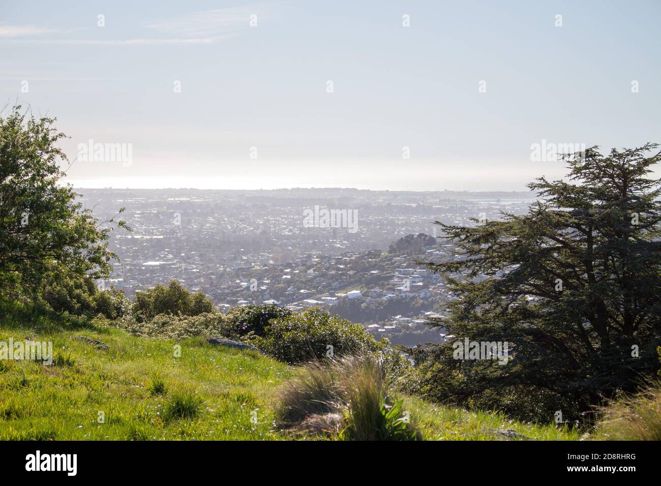 Blick auf Christchurch Stadt von einem Hügel mit Blick durch Bäume Und Berge aus dem Hintergrund Stockfoto