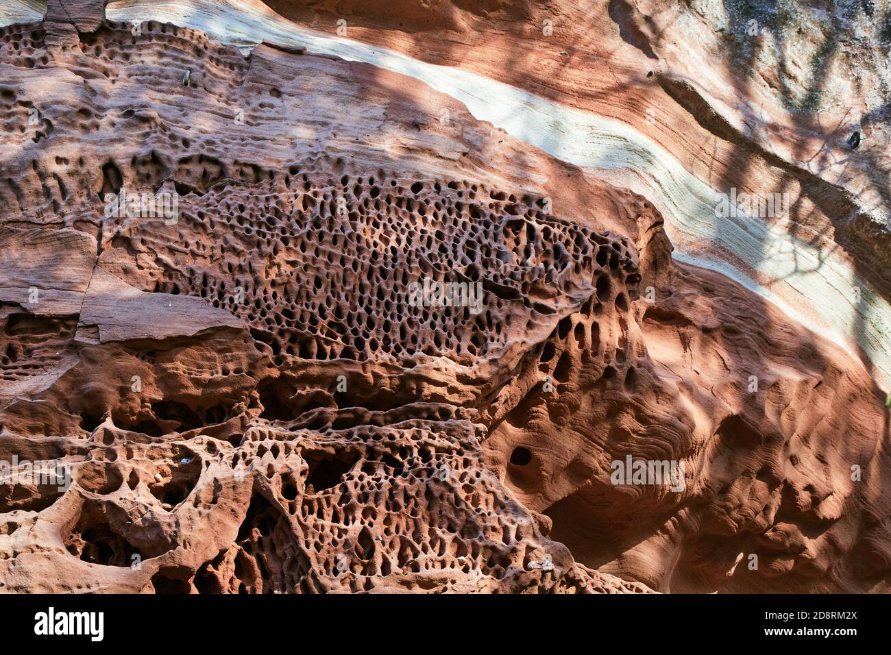Tafoni, Wabenverwitterung auf rotem Sandstein Stockfoto