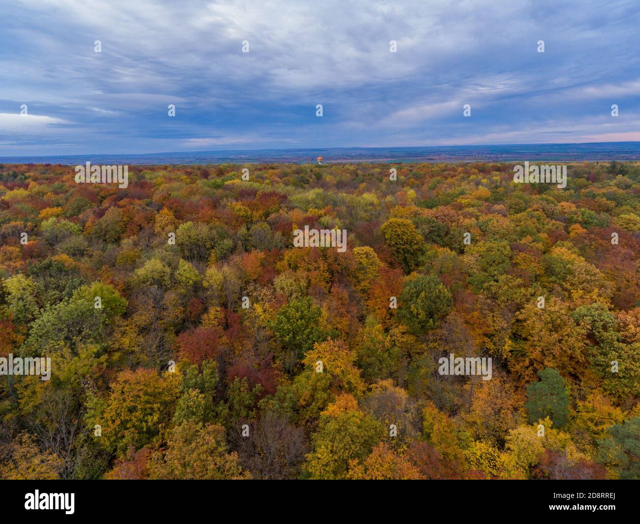 Herbststimmung im Nationalpark Hainich - Thüringen / Deutschland Stockfoto