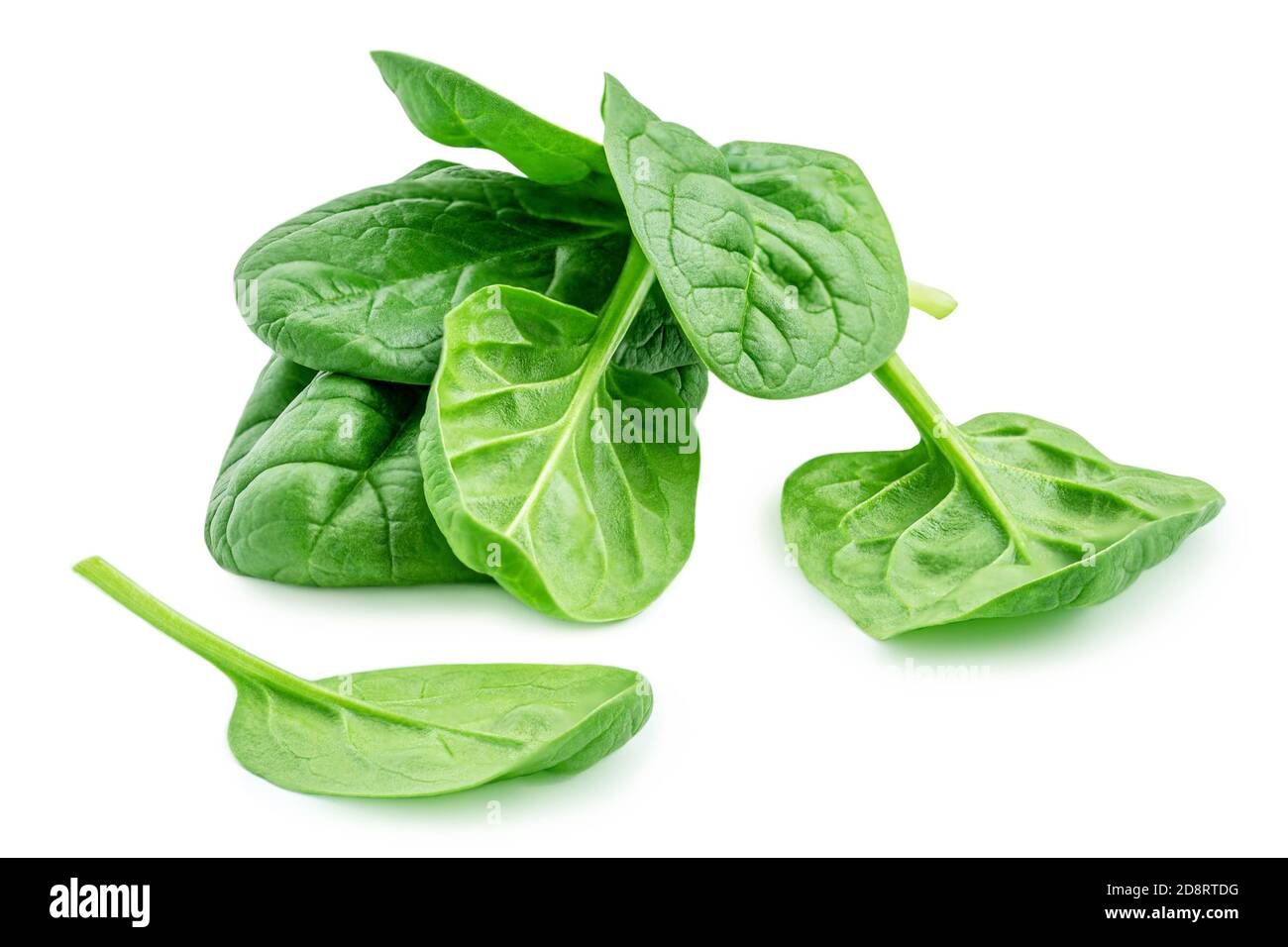 Haufen Baby Spinat Blätter isoliert auf weißem Hintergrund. Frischer grüner Spinat. Stockfoto