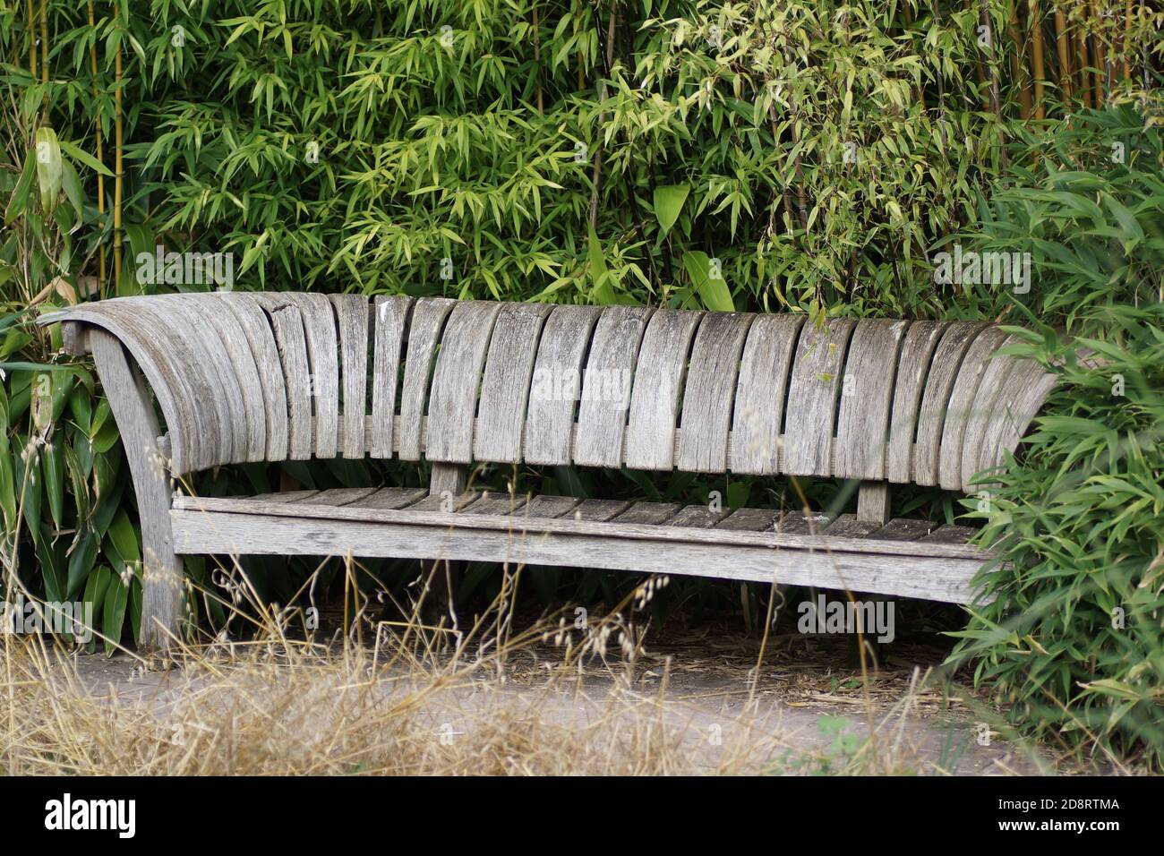 Gartenbank im National Botanic Garden of Wales Stockfoto