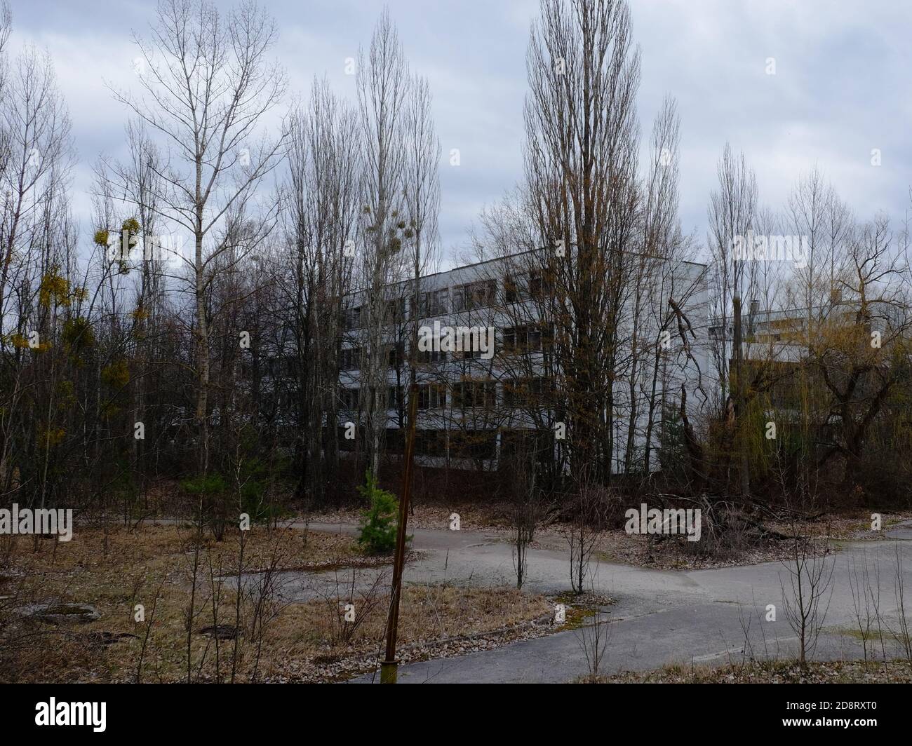 Verlassene Häuser in Pripyat unter den Bäumen. Verlassene Wohngebäude im Bereich der Strahlenbelastung. Stockfoto