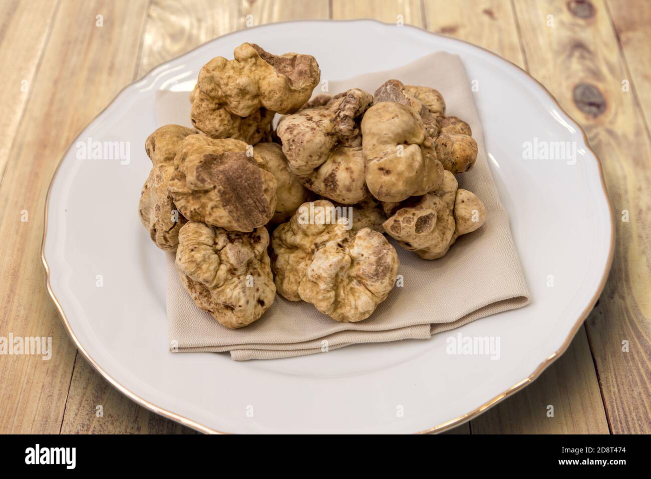 Weiße Trüffel aus Alba in weißer Schale auf Holzboden Stockfoto