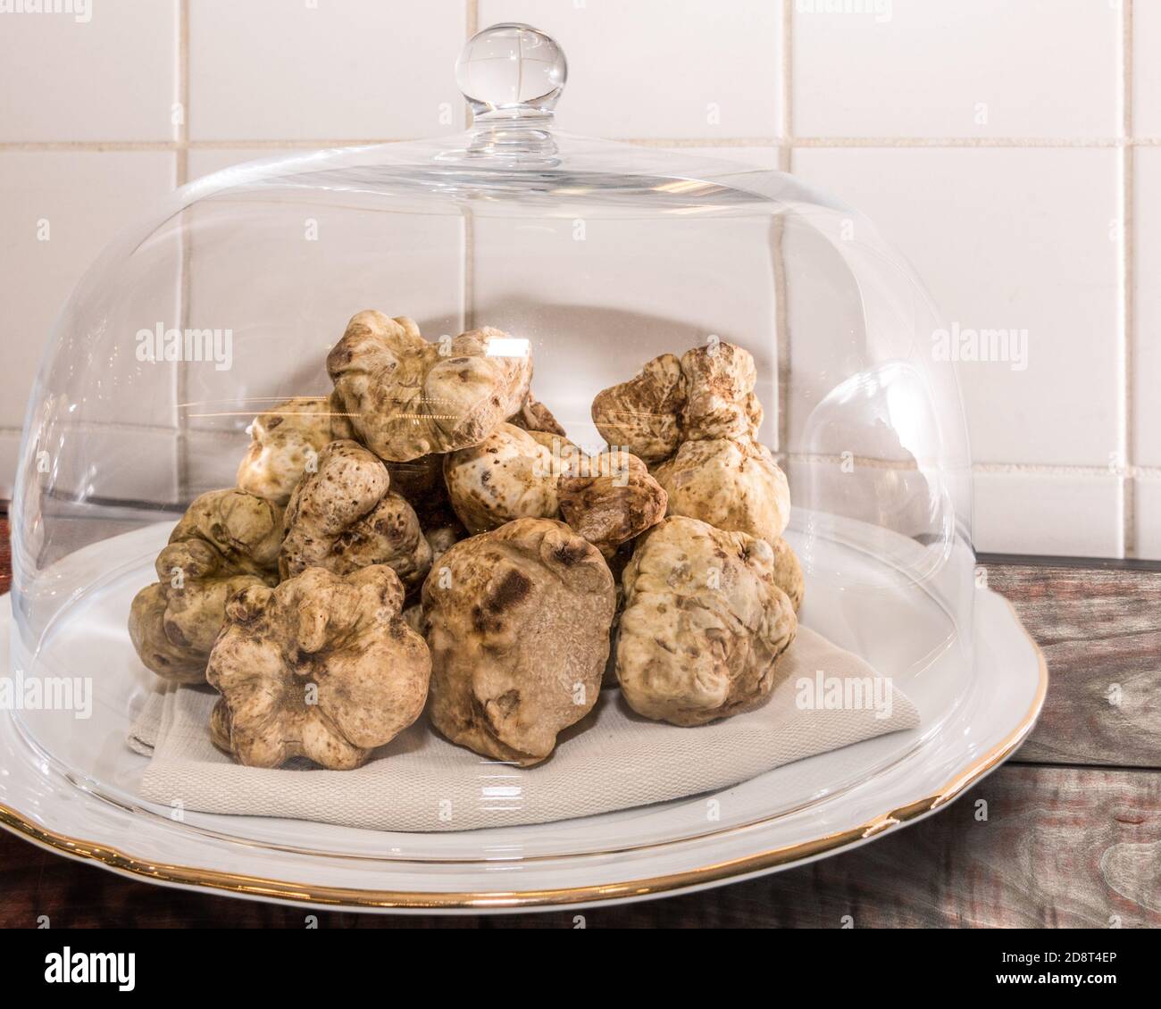 Weiße Trüffel aus Alba unter einer Glasglocke Stockfoto