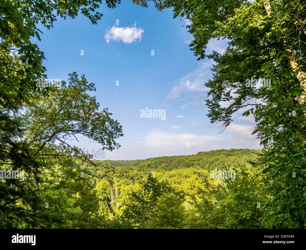 Landschaftlich schöner Gorge Overlook, Tinker's Creek Overlook in Cleveland Metro Parks, Walton Hills mit blick auf grüne Baumkronen und ein strahlend blaues sk Stockfoto