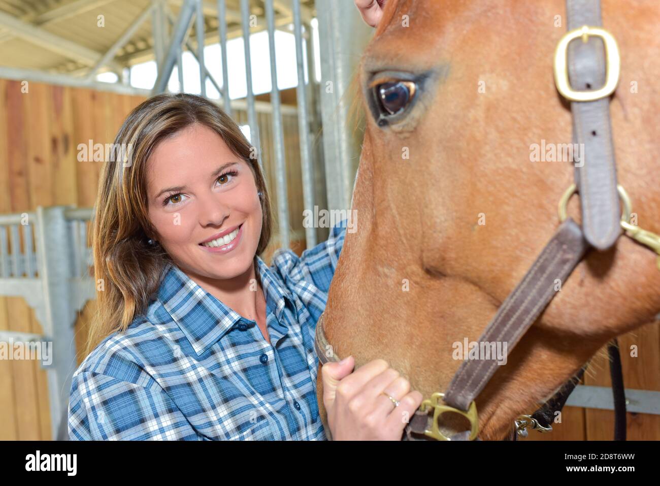 Eine Frau und ein Pferd Stockfoto