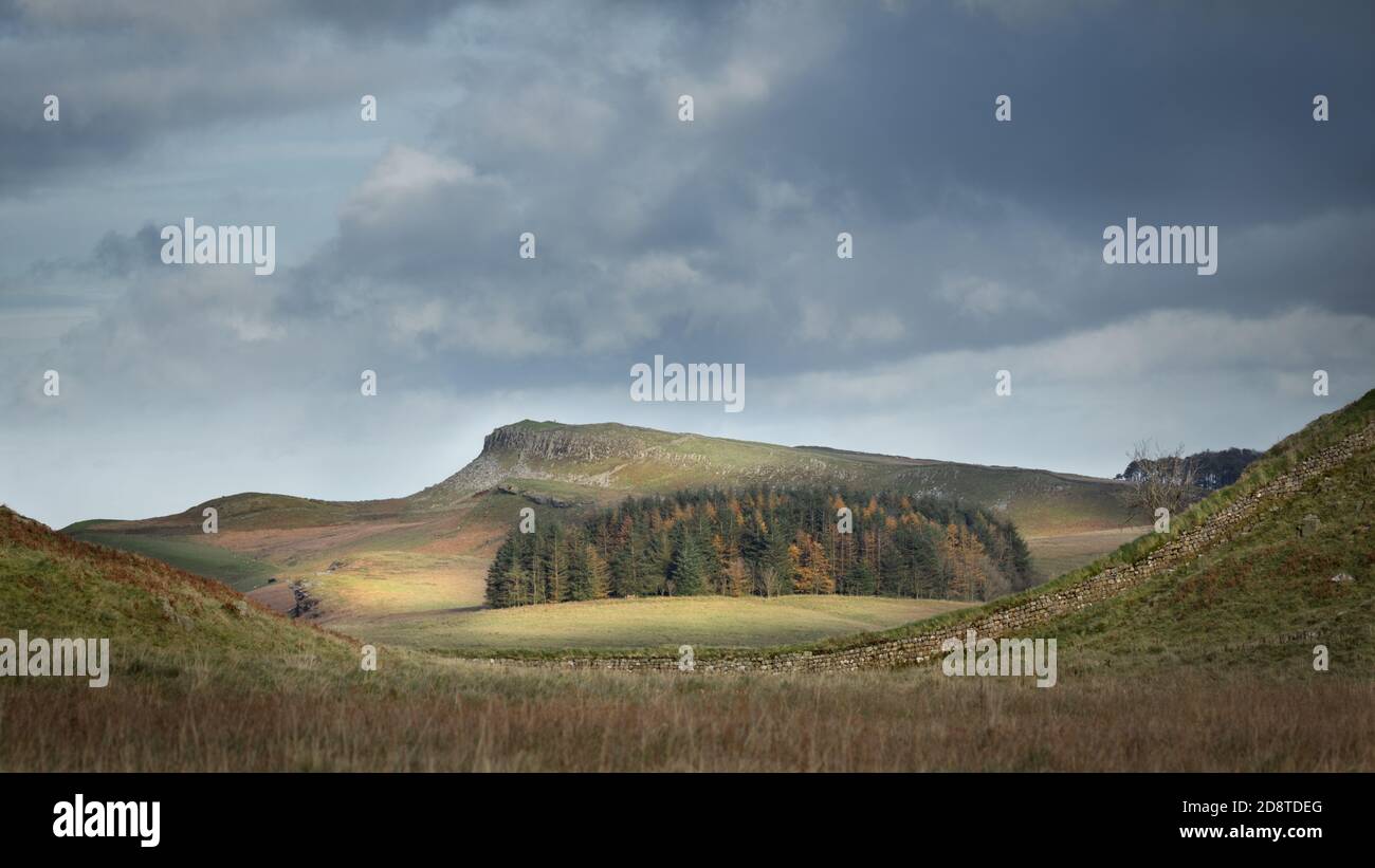 Blick auf Hadrian's Wall, in der Nähe von Housesteads, Northumberland, Großbritannien Stockfoto