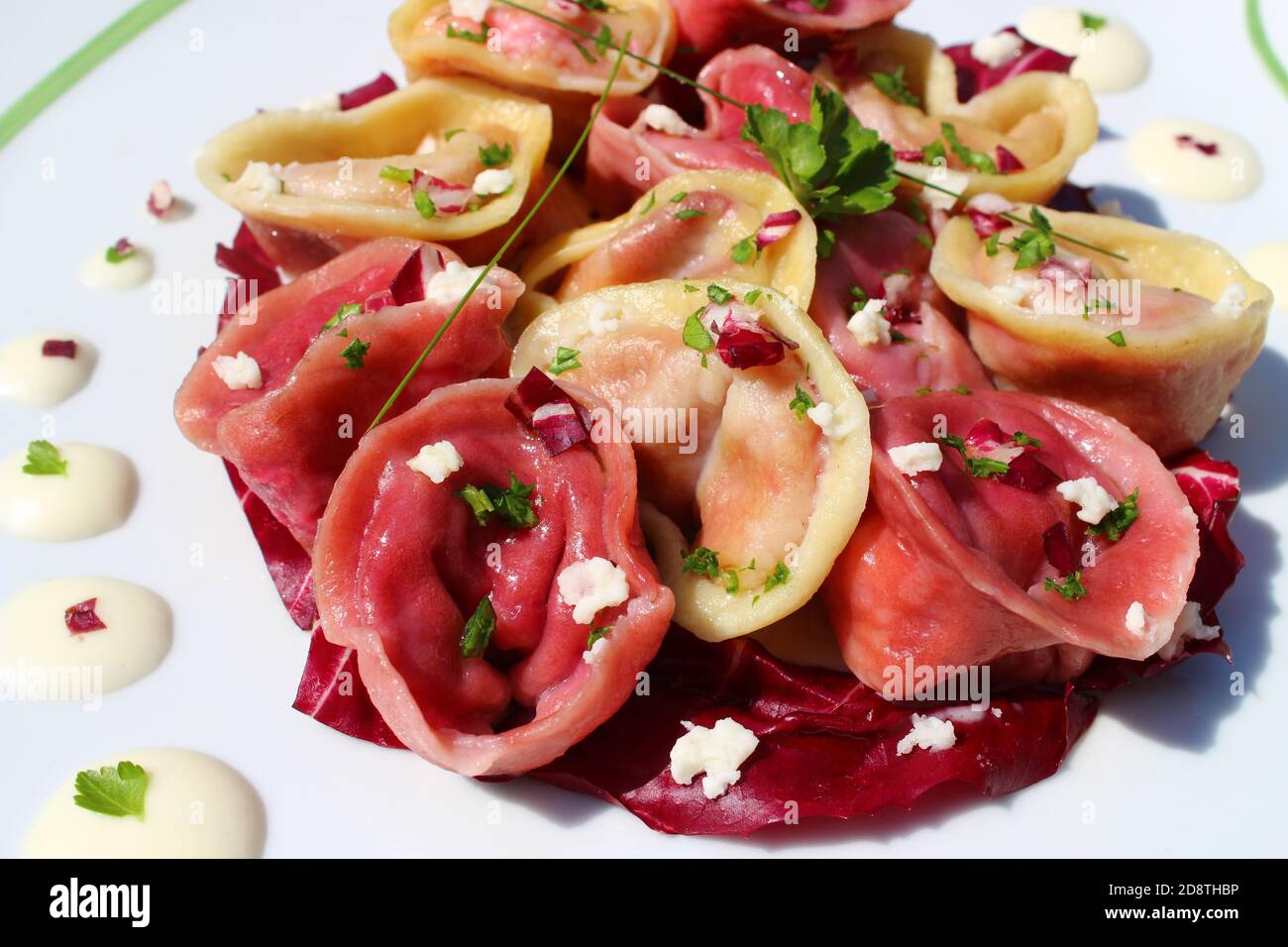 Bunte hausgemachte Tortellini mit Ricotta-Käse und Rote Bete auf einem Radicchio-Blatt mit Bechamel und Petersilie garniert angeordnet. Stockfoto