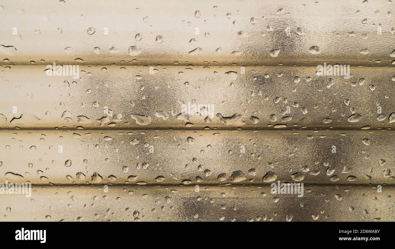 Nahaufnahme von Polycarbonat-Wellblech mit Wassertropfen. Regentropfen auf strukturiertem Kunststoffdach mit sichtbarer Ast-Form. Stockfoto
