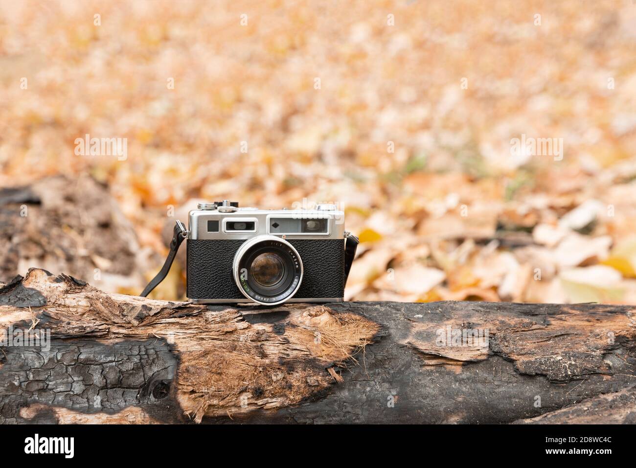 Vintage Kamera ruht auf einem Baumstamm umgeben von gefallenen Blättern in der Herbstsaison. Leerzeichen für Text. Stockfoto