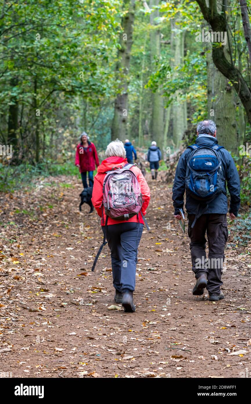 Familien und Paare, die im Herbst durch den Wald wandern Stockfoto