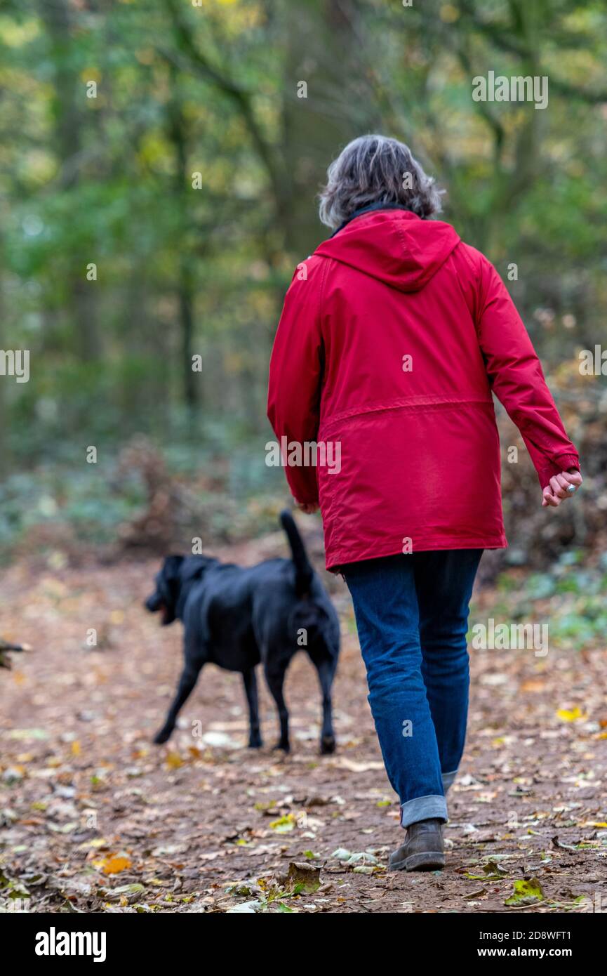 Eine ältere Dame, die an einem Herbsttag mit ihrem Hund im Wald herumläuft und eine rote Außenjacke trägt. Stockfoto