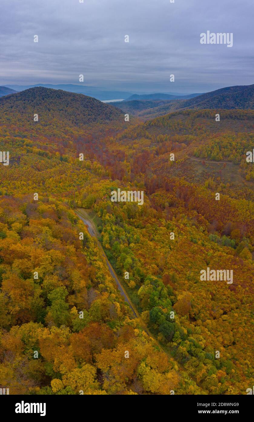 Visegrad, Ungarn - Luftaufnahme der Asphaltstraße durch den Wald, Herbststimmung, warme Herbstfarben. Grüne, rot gelbe und orange gefärbte Bäume. Stockfoto