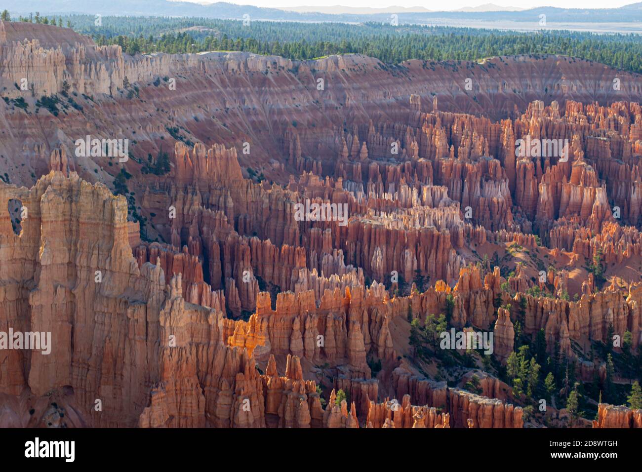 Foto des Bryce Canyon National Park in Utah, USA. Stockfoto