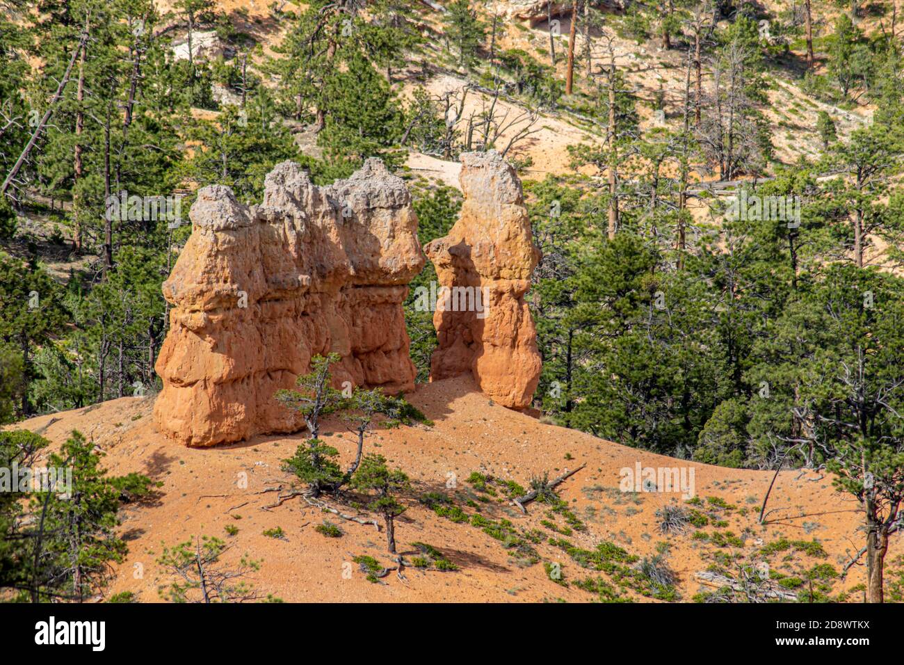 Foto des Bryce Canyon National Park in Utah, USA. Stockfoto