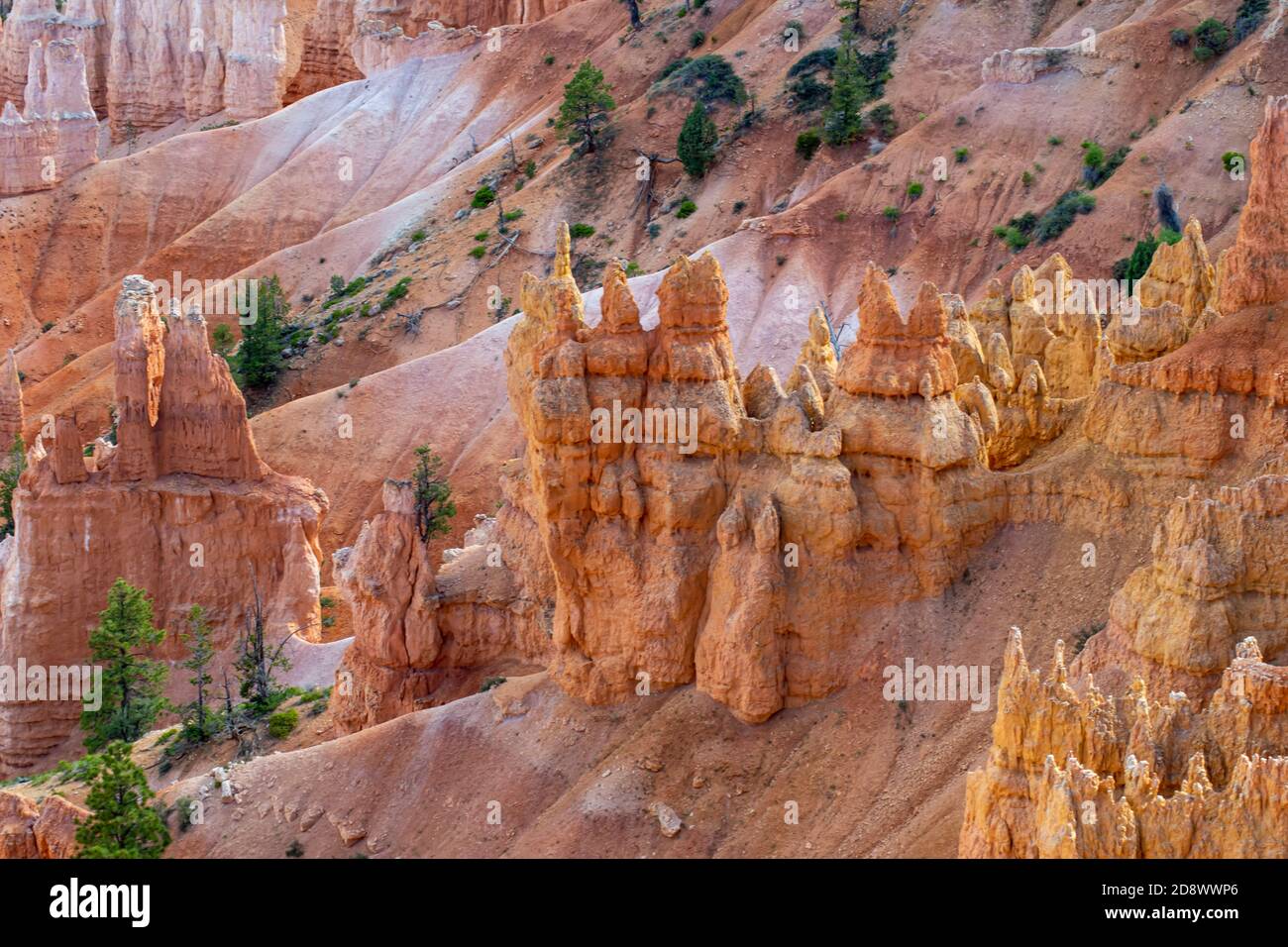 Foto des Bryce Canyon National Park in Utah, USA. Stockfoto