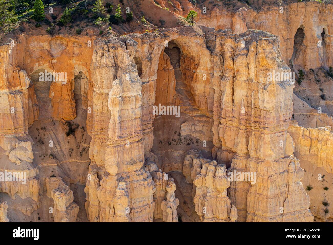Foto des Bryce Canyon National Park in Utah, USA. Stockfoto