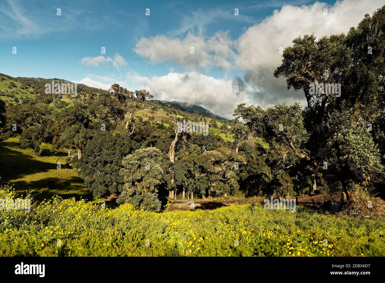Costa Rica Landschaften - schöne Natur - Blick vom Irazu Vulkan auf den Krater und Landschaftsansicht rund um den Nationalpark Irazu. Straße vom Vulkan. Stockfoto