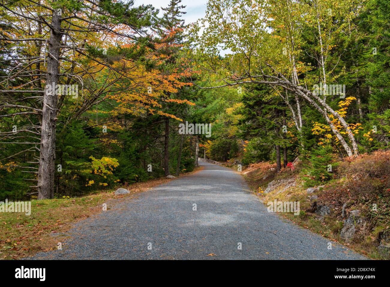 Acadia Nationalpark Stockfoto