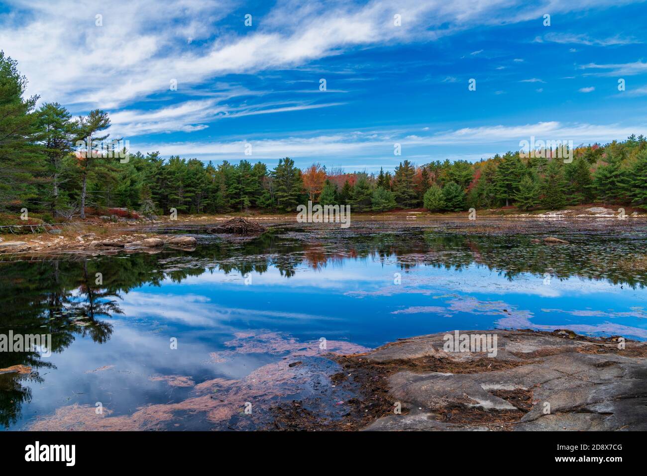Acadia Nationalpark Stockfoto
