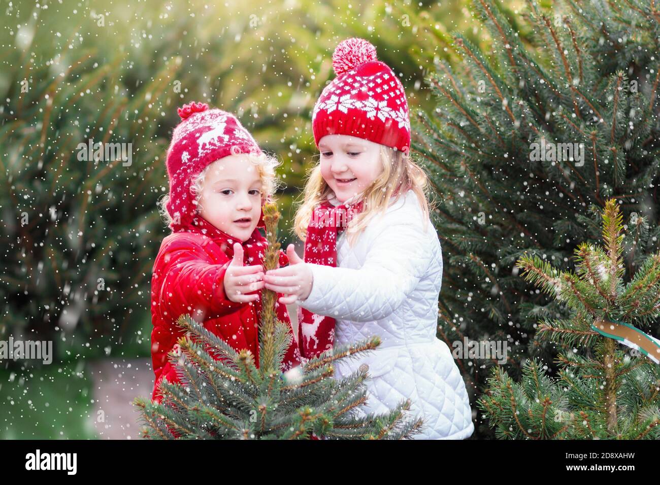 Familie auswählen Weihnachtsbaum. Kinder Auswahl frisch Norwegen Xmas Tree im Freien viel geschnitten. Kinder Geschenke kaufen im Winter fair. Junge und Mädchen shoppin Stockfoto