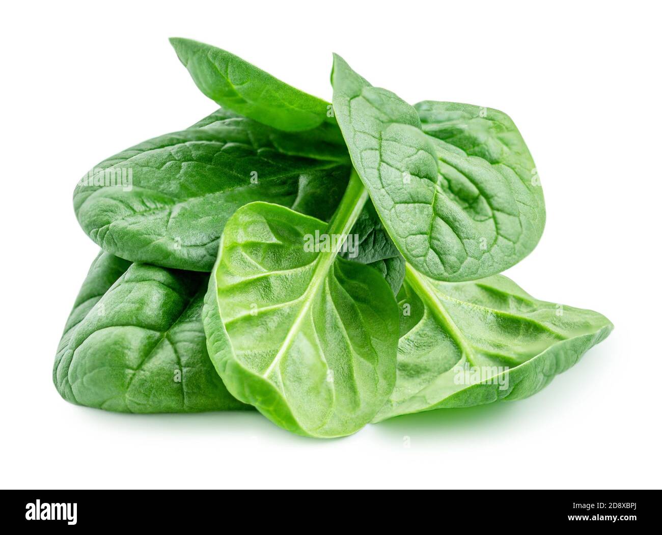 Haufen von frischen grünen Baby Spinat Blätter isoliert auf weißem Hintergrund. Nahaufnahme Stockfoto