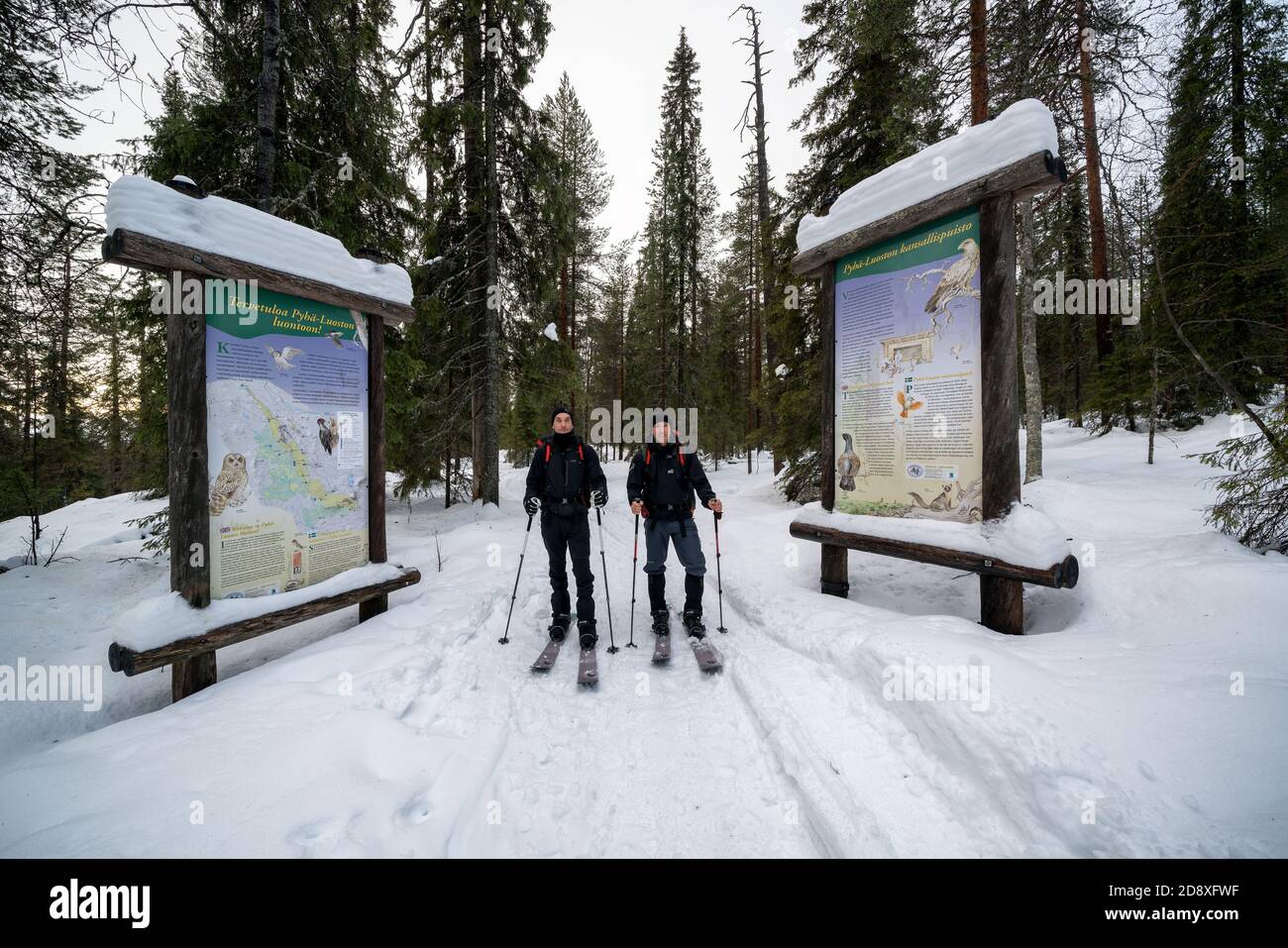 Skitouren im Pyhä-Luosto Nationalpark, Lappland, Finnland Stockfoto
