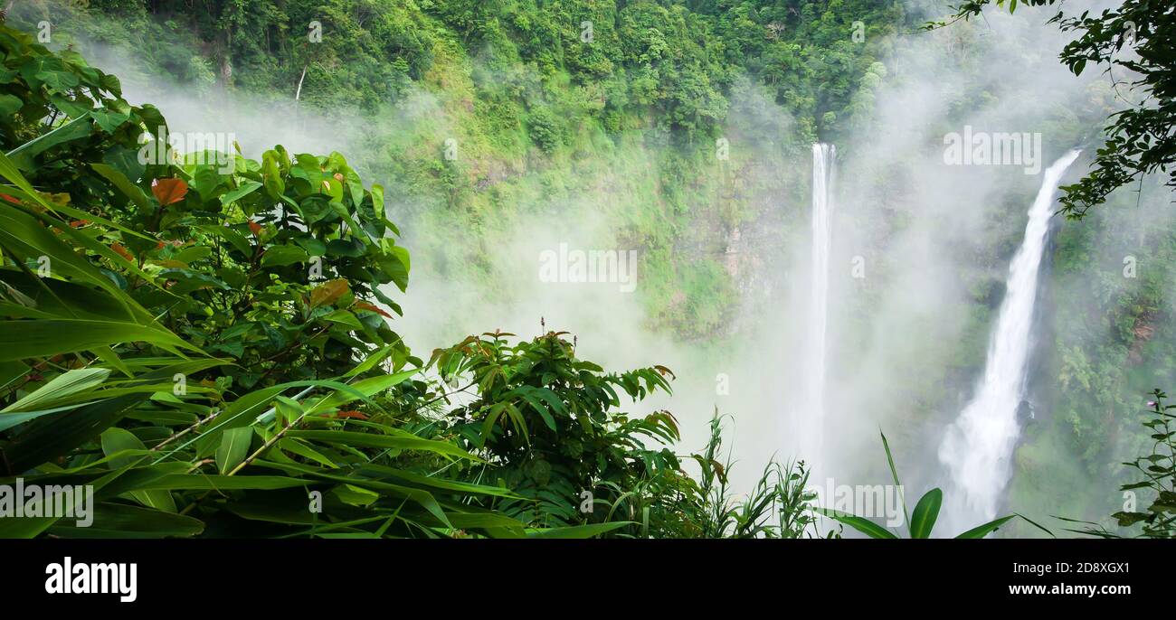 Wunderbarer TAD Fane Wasserfall im Morgennebel, magische Zwillingsfälle in der Regenzeit, Touristenattraktionen in Süd-Laos. Stockfoto