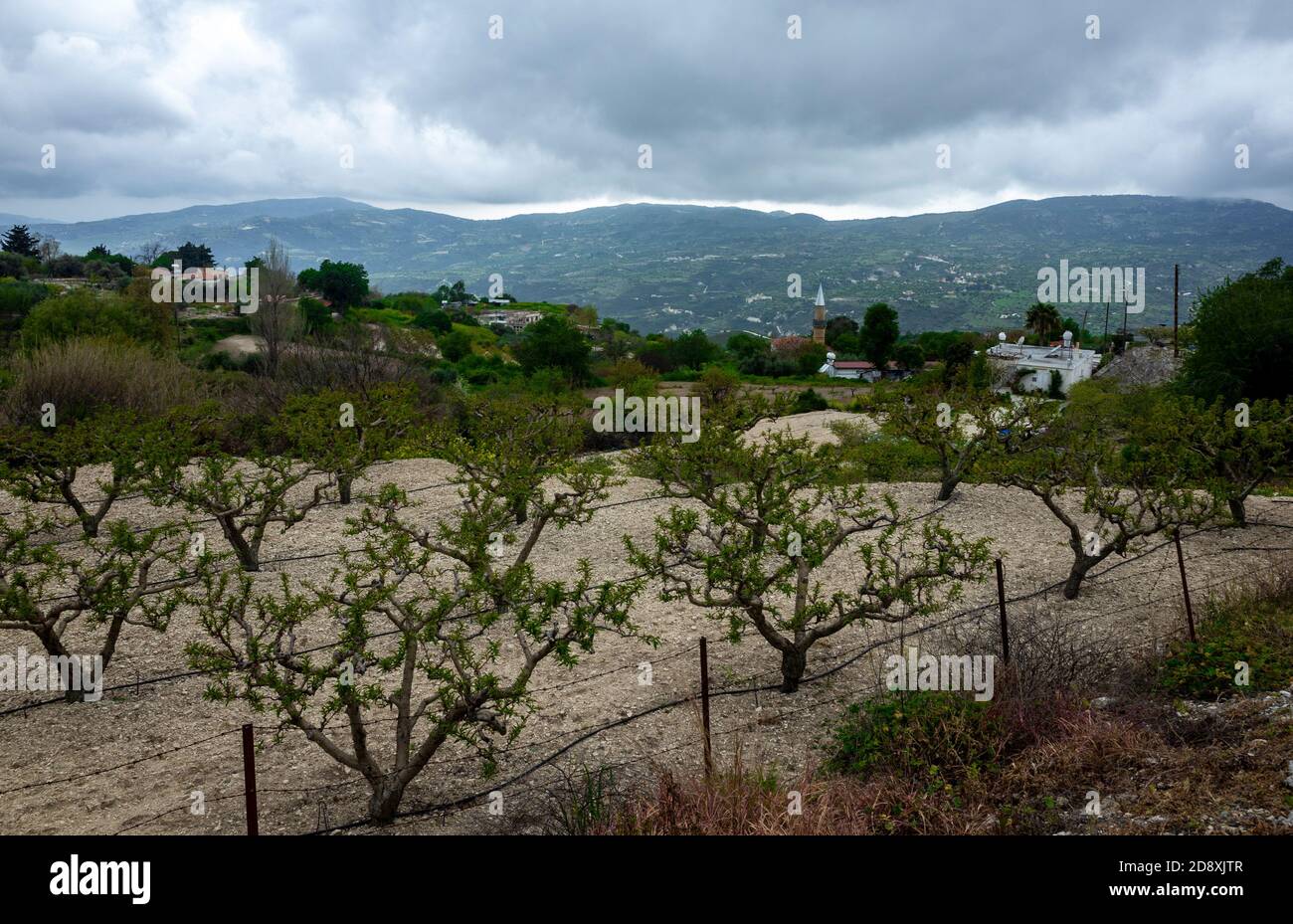 Moslemisches Dorf im gebirgigen Teil der Insel Zypern im frühen Frühjahr. Stockfoto