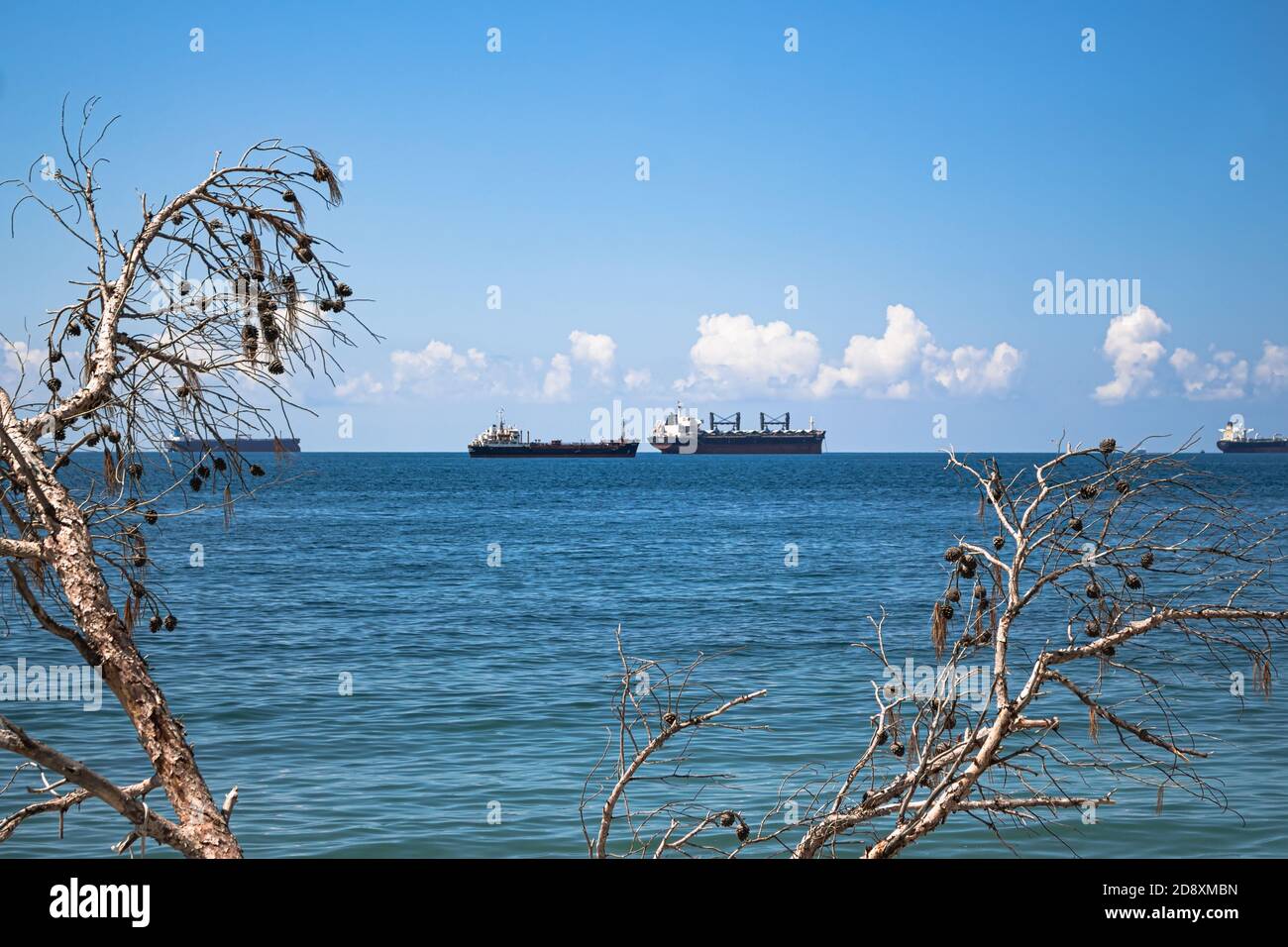 Nahaufnahme der Sommerlandschaft. Blaues Meer, Wolken über dem Horizont und Frachtschiffe, Blick durch die trockenen Äste einer Kiefer Stockfoto