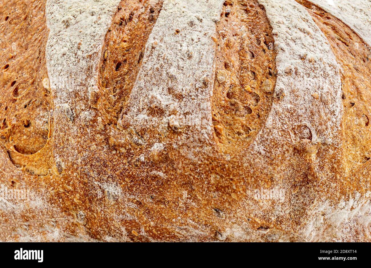 Frisches Brot Hintergrund. Konzept für Backwaren. Stockfoto