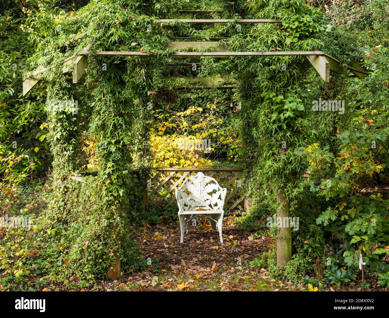 Country House Garden, Chair under Pagoda, Englefield House Gardens, Englefield, Thale, Reading, Berkshire, England, Großbritannien, GB. Stockfoto