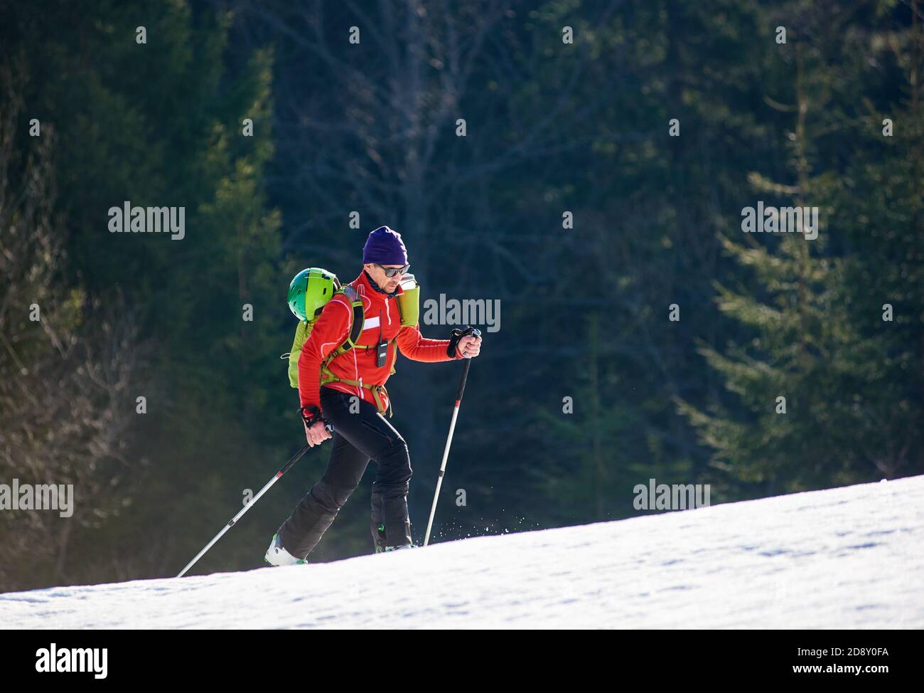 Mann mit Skibergsteigen in Richtung des Gipfels unter den Lichtern einer Sonne vor Waldhintergrund klettern. Skisaison und Wintersportkonzept Stockfoto