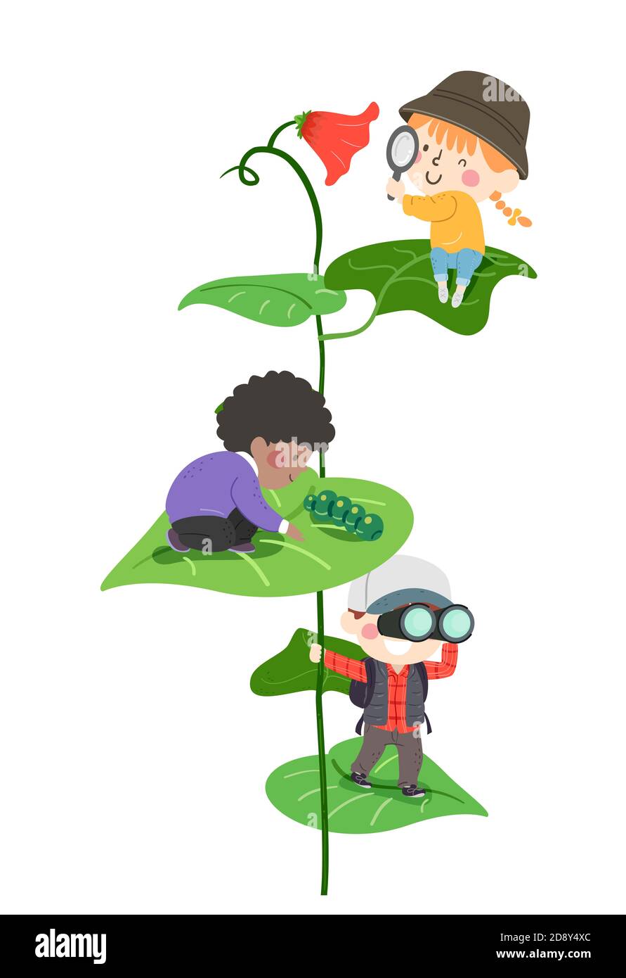 Illustration von Kids Students Lernen über Pflanzen und Insekten durch Erkundung und Beobachtung Stockfoto