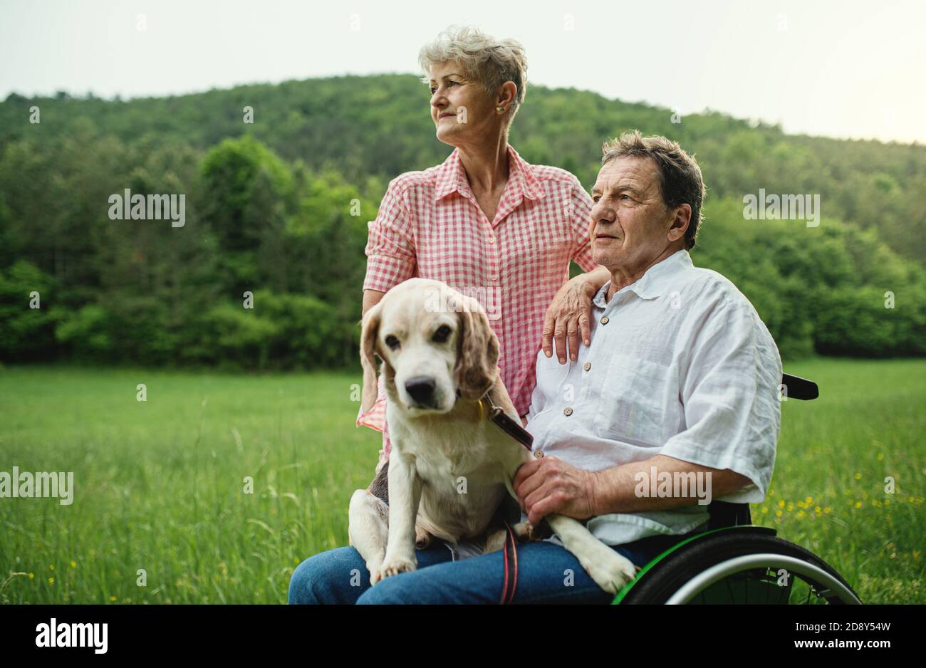 Seniorenpaar mit Hund auf einem Spaziergang auf der Wiese in der Natur, Ruhe. Stockfoto