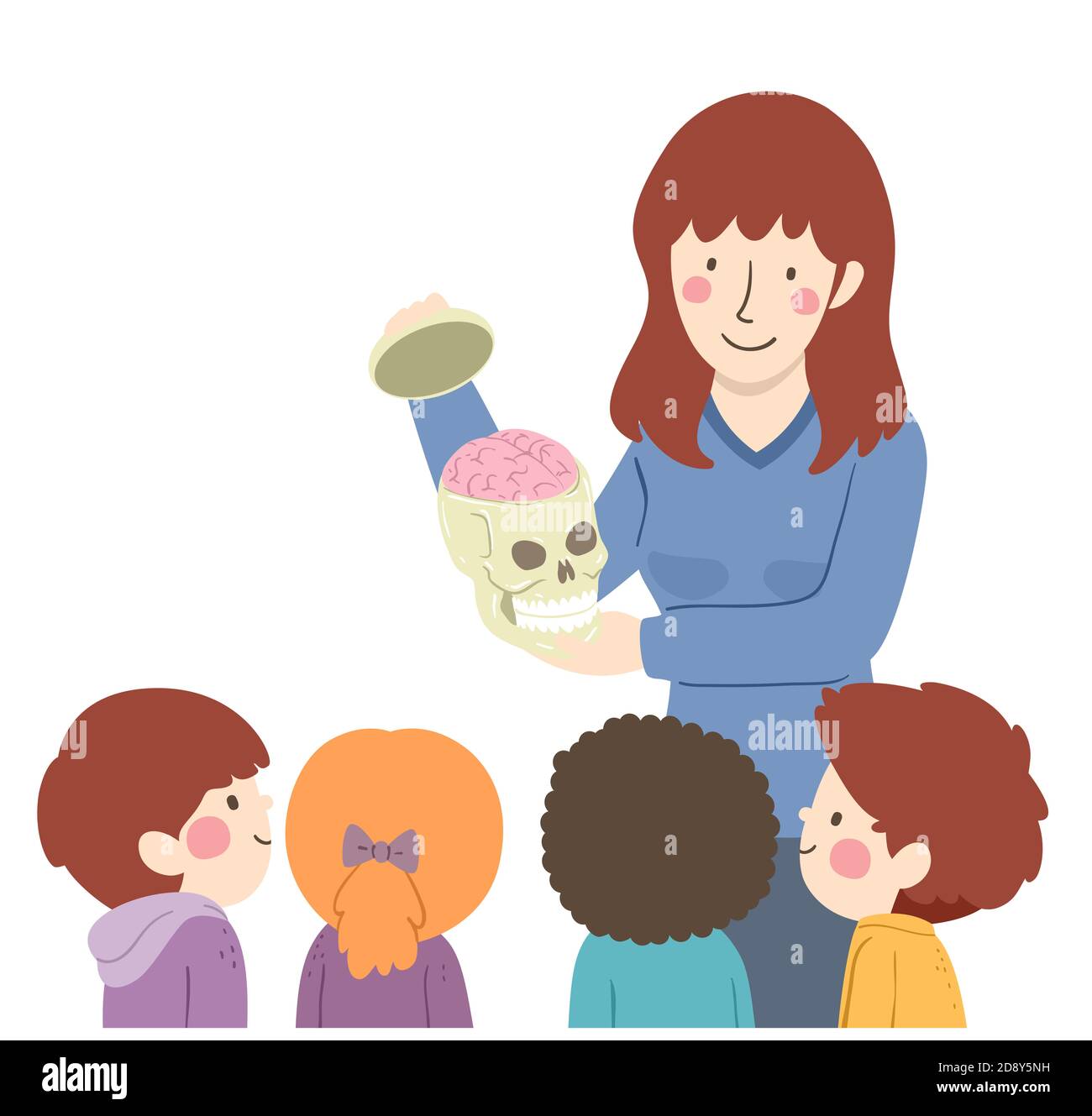 Illustration von Mädchen Lehrer erklären, wie der Schädel schützen die Gehirn zu ihren Schülern Stockfoto