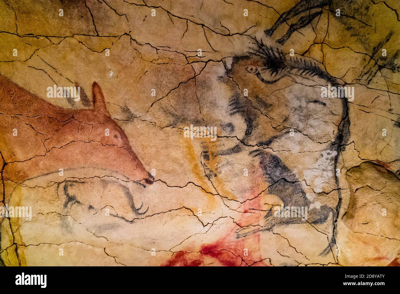 Santillana del Mar, Kantabrien / Spanien - 29. Oktober 2020: Prähistorische Tierzeichnungen an der Decke der Altamira-Höhlen in Nordspanien Stockfoto