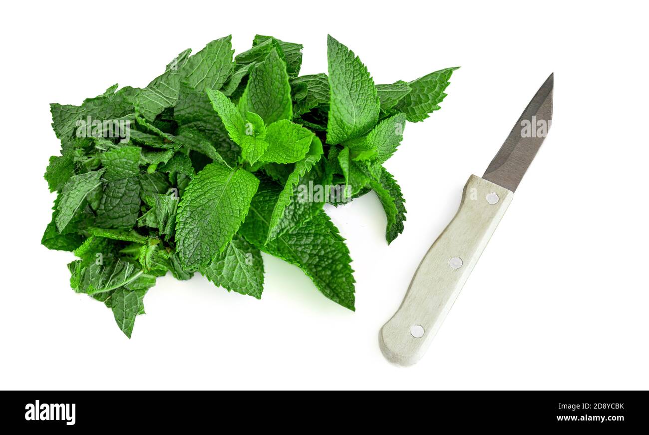 Gehackte frische Spearmint Blätter mit einem Messer isoliert auf dem weißen Hintergrund. Minze, Pfefferminze Nahaufnahme Stockfoto