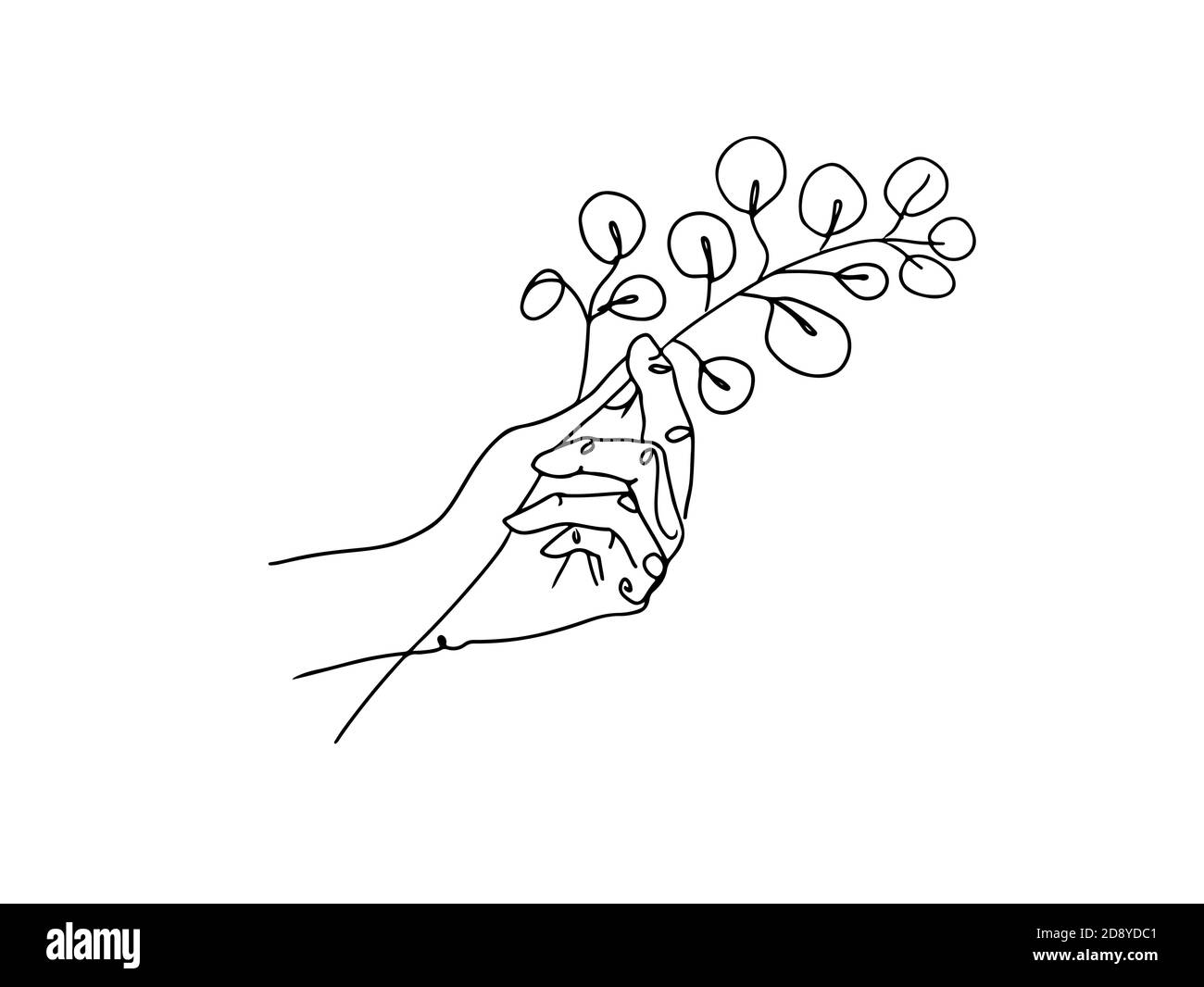 Hand hält Eukalyptus Silber Dollar Zweig kontinuierliche Linie Zeichnung. Eine Zeile . Handgezeichnete minimalistische Illustration, Vektor. Stock Vektor