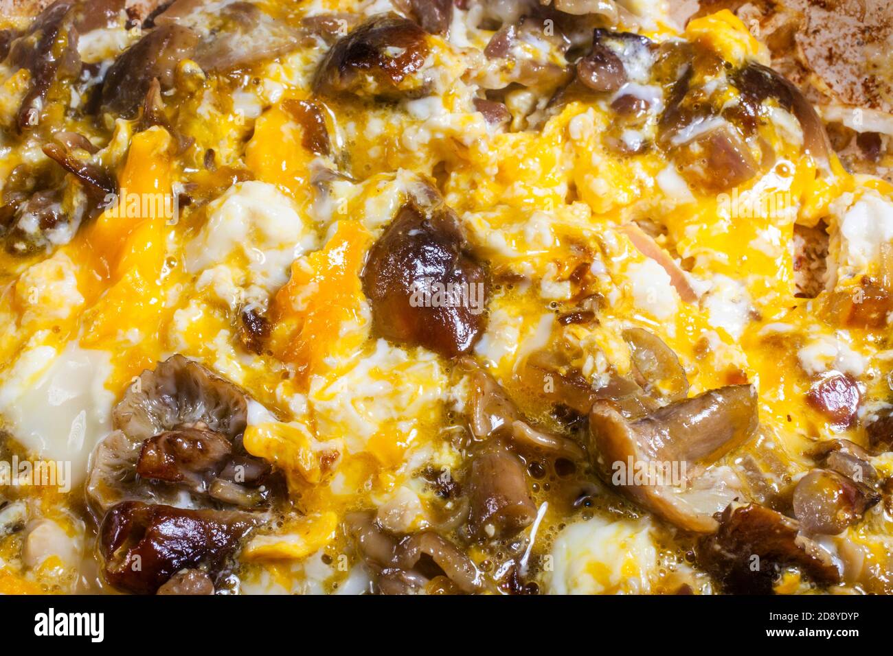 Nahaufnahme Foto von ummantelten Holz Tuft Pilz Tops mit Eier beim Backen und Mischen in Pfanne auf Herd Stockfoto