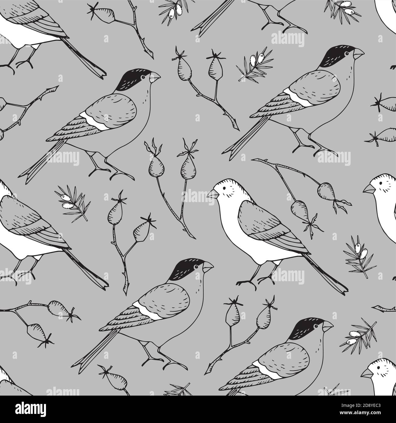 Elegantes, handgezeichnetes weihnachtliches Nahtloses Muster mit Bullfinch- und Goldfinkenvögeln und Hagebutten. Winter Vintage Gravur Design. Grauvektor Stock Vektor