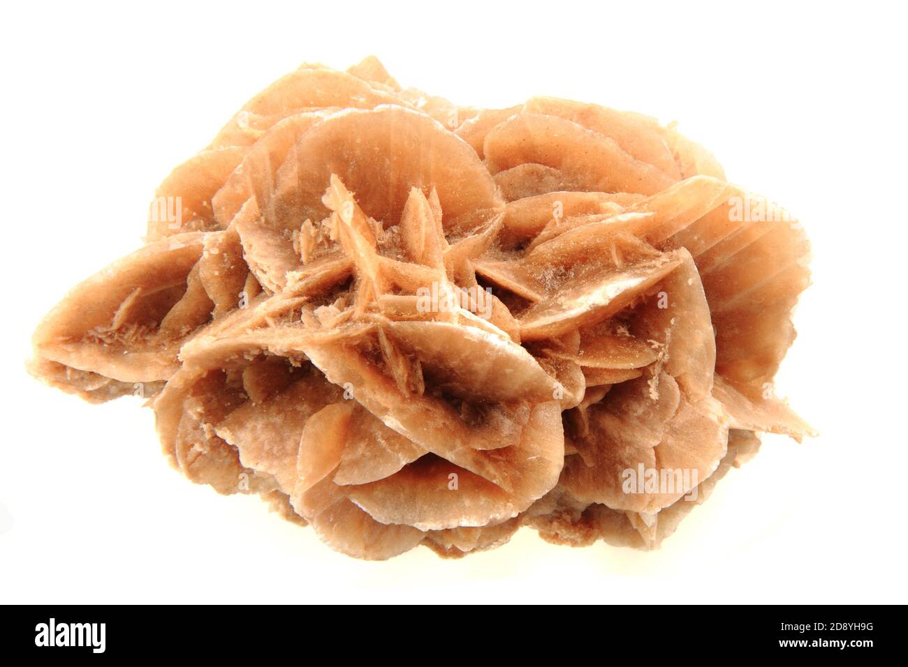 Wüstenrose Mineral isoliert auf dem weißen Hintergrund Stockfoto