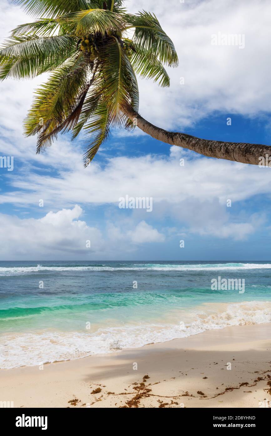 Tropisches Paradies sonniger Strand Stockfoto