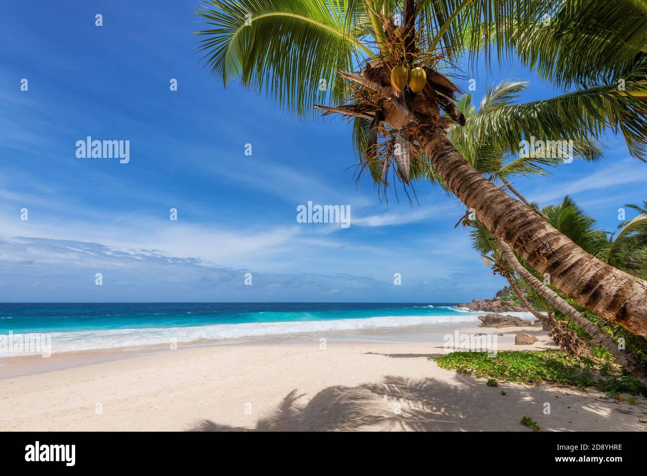 Tropisches Paradies sonniger Strand Stockfoto