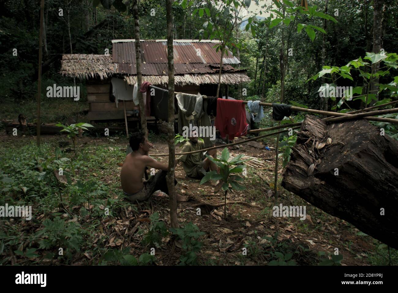Tohab und Ramli Hutagalung, Bauern, die eine Pause auf ihrer Farm Hütte in einem Waldgebiet, das am westlichen Rand des Batang Toru Ökosystem in Sitahuis, Central Tapanuli, Nord-Sumatra, Indonesien. Gemeinden, die in und um den Regenwald leben, sind neben der Landwirtschaft zum Teil auf die Nahrungssuche und Nahrungsaufnahme angewiesen. Naturschützer haben sich diesem Thema gestellt, indem sie die Stärkung der Gemeinschaft als integralen Bestandteil jeder Naturschutzbemühung setzen, indem sie Bildung und Unterstützung für Gemeinden bei der Suche nach einer alternativen Einkommensquelle bieten, die nachhaltiger und umweltfreundlicher ist. Stockfoto